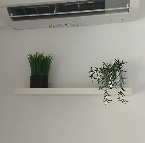 בית הארחה Tropical 3*
